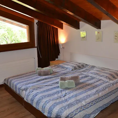 Arnica 3 Pieces * Nendaz