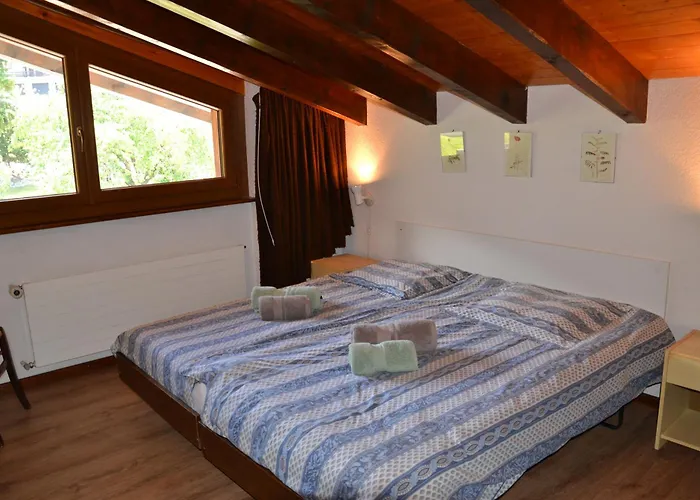 Arnica 3 Pieces * نينداز