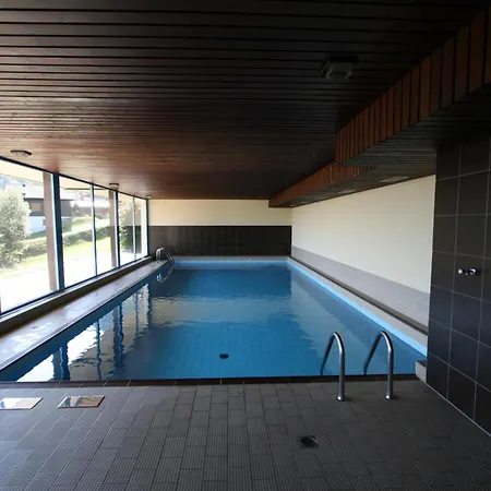Apartament Arnica 3 Pieces Nendaz